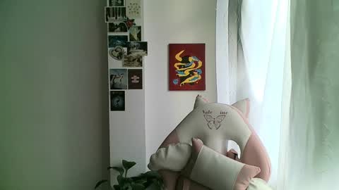 your sttar online show from 8, 1, 2025