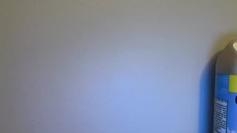 newcastle72 online show from 10, 7, 2026