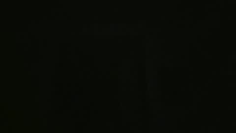 Snapshot of yourpersonalgeniusl chatting on 3, 12, 2024 yourpersonalgeniusl online show from 3, 12, 2024