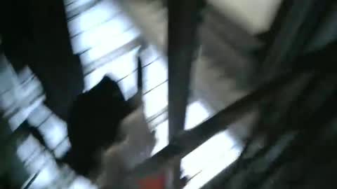 Snapshot of yourpersonalgeniusl chatting on 15, 12, 2024 yourpersonalgeniusl online show from 15, 12, 2024