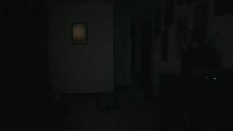 Snapshot of yourpersonalgeniusl chatting on 16, 12, 2024 yourpersonalgeniusl online show from 16, 12, 2024