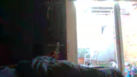 Snapshot of yourpersonalgeniusl chatting on 7, 11, 2025 yourpersonalgeniusl online show from 7, 11, 2025