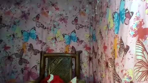 im MAY online show from 12, 2, 2025