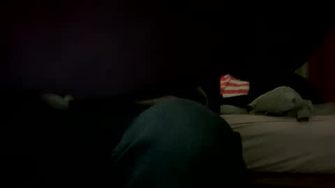 Big loads online show from 12, 1, 2025