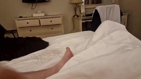 ytdecoy76 online show from 8, 11, 2025