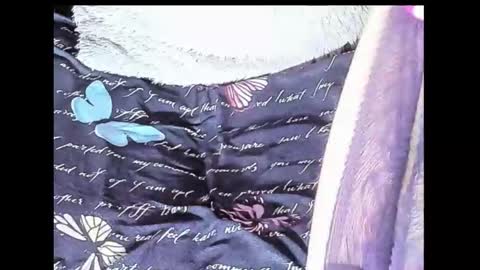 Snapshot of yukiodavis chatting on 10, 10, 2025 Yukio Davis  online show from 10, 10, 2025