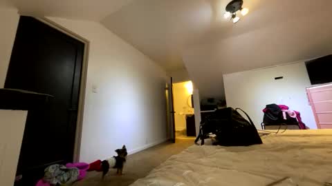 Snapshot of yungfemslut chatting on 21, 11, 2025 BbyTSSLut online show from 21, 11, 2025