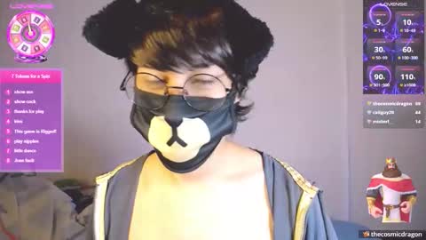 the puppy boy online show from 11, 3, 2026