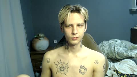 Toshka online show from 8, 12, 2024