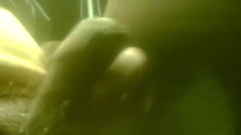 zaboski4 online show from 15, 1, 2026