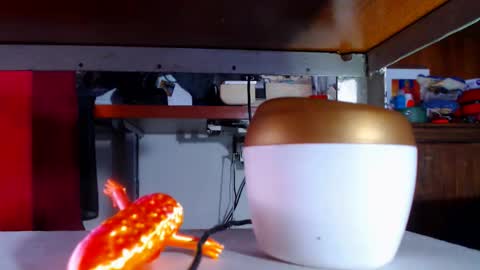 zafiro_subversiva online show from 16, 3, 2026