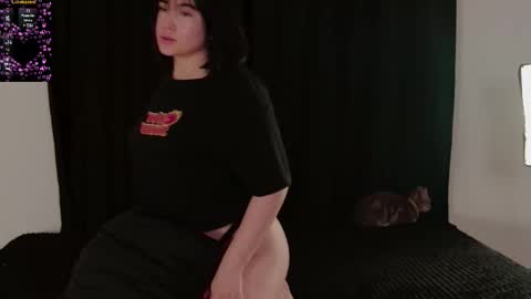 zamila online show from 13, 2, 2026