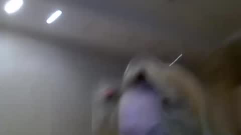 Snapshot of zarinaswift chatting on 14, 2, 2025 Zarina Swift online show from 14, 2, 2025