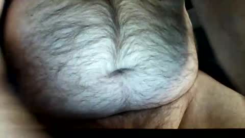 zeddie71 online show from 22, 11, 2025