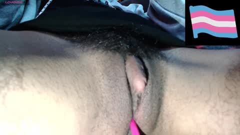 Snapshot of zeldrissss chatting on 3, 12, 2024 Zeldris online show from 3, 12, 2024