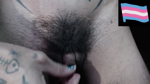 Snapshot of zeldrissss chatting on 14, 12, 2024 Zeldris online show from 14, 12, 2024