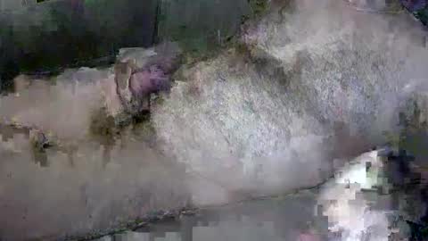 zepincam online show from 13, 10, 2025