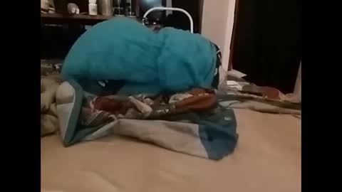 Snapshot of zeroandhero chatting on 14, 12, 2024 zero online show from 14, 12, 2024