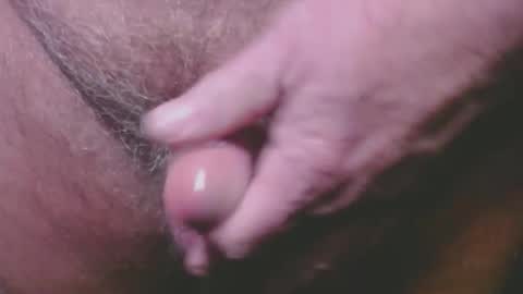 bambi cumslut online show from 23, 2, 2026