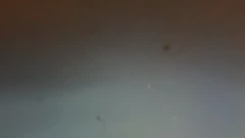 zervale online show from 8, 8, 2026
