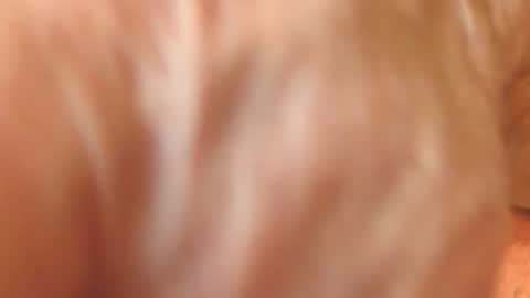 zevioo77 online show from 18, 11, 2025