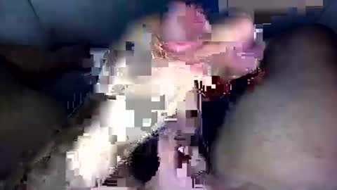 zezin1 online show from 19, 9, 2025