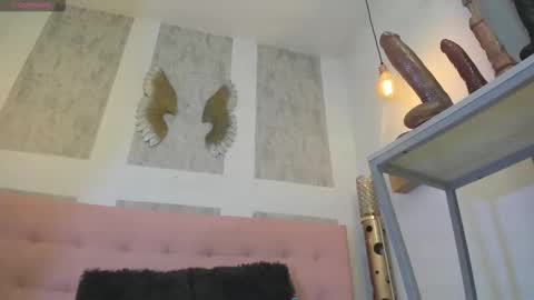 ZHAMIRA  ANDRES online show from 11, 2, 2026