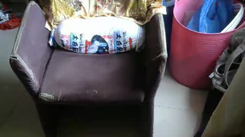 zhengxuansheng888 online show from 23, 4, 2026