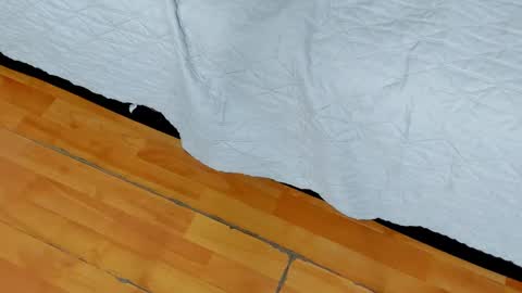 zia online show from 27, 1, 2025