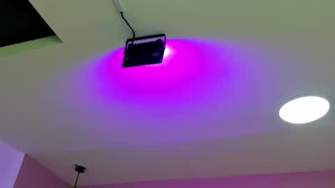 zia online show from 22, 9, 2025