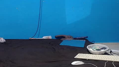 Zoe online show from 5, 4, 2026