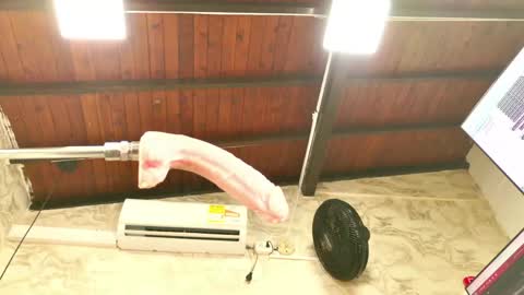 zoley  online show from 11, 4, 2026