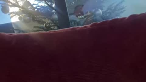 Snapshot of zoomdue chatting on 8, 12, 2024 Velesk online show from 8, 12, 2024