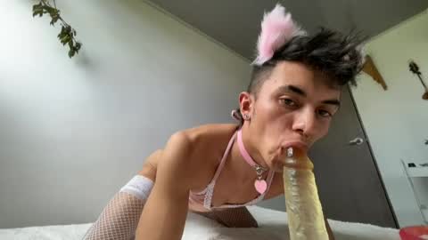 Zorrosumiso online show from 6, 8, 2026