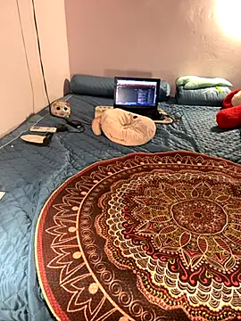 Hoa Bimup online show from 30, 9, 2025