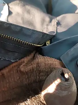 Nishu12356g online show from 20, 9, 2025