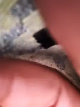 rajstrip12650 online show from 2, 2, 2025