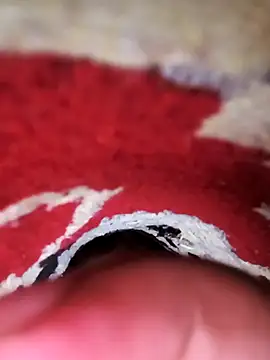 rajstrip12650 online show from 9, 2, 2025