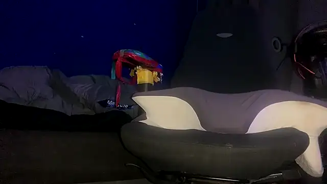 Snapshot of ZandersaSimp chatting on 17, 12, 2025 ZandersaSimp online show from 17, 12, 2025