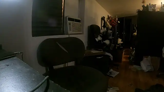 Snapshot of leanjamesdean chatting on 31, 12, 2024 leanjamesdean online show from 31, 12, 2024