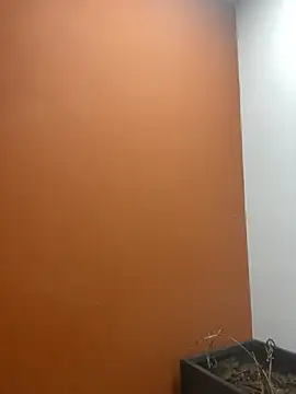 YesTheSexiest online show from 11, 11, 2025