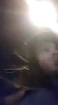 J0nyhson online show from 6, 3, 2025