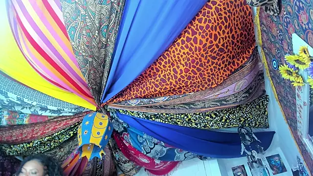 Snapshot of ElizaGrey_ chatting on 19, 1, 2025 ElizaGrey  online show from 19, 1, 2025