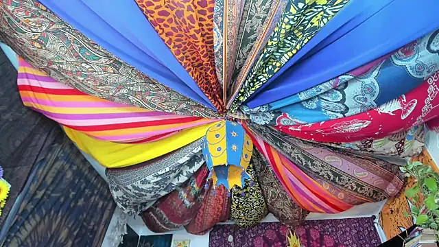 Snapshot of ElizaGrey_ chatting on 23, 2, 2025 ElizaGrey  online show from 23, 2, 2025