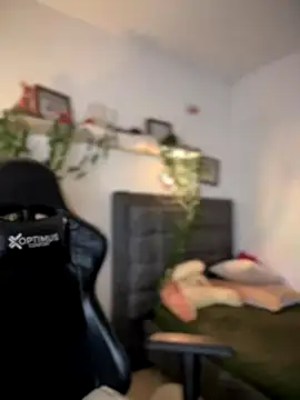 Lia flowers online show from 14, 9, 2025