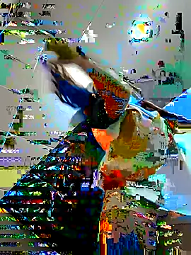 Sam Sara online show from 16, 2, 2025