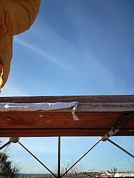 Snapshot of bellapaty chatting on 30, 3, 2026 bellapaty online show from 30, 3, 2026