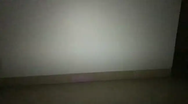 highfuckkklife online show from 3, 12, 2024