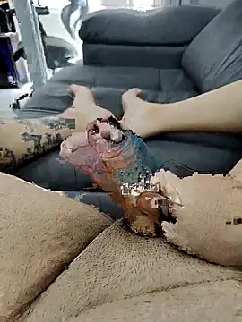 Snapshot of pete_97 chatting on 21, 9, 2025 pete 97 online show from 21, 9, 2025