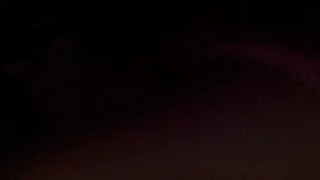 ROXYNL online show from 11, 2, 2025